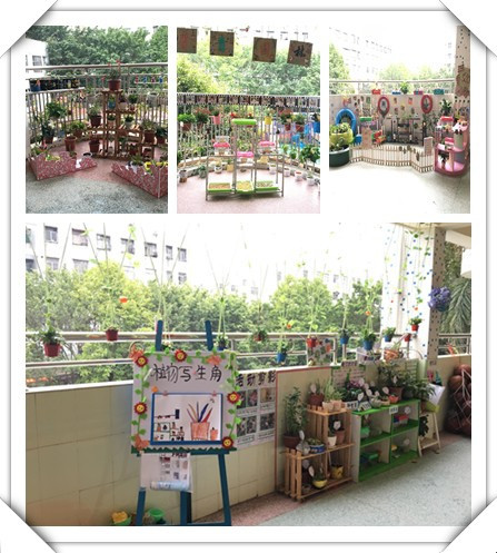 春暖花开，绿树成荫——远恒佳公明第二幼儿园自然观察角大比拼