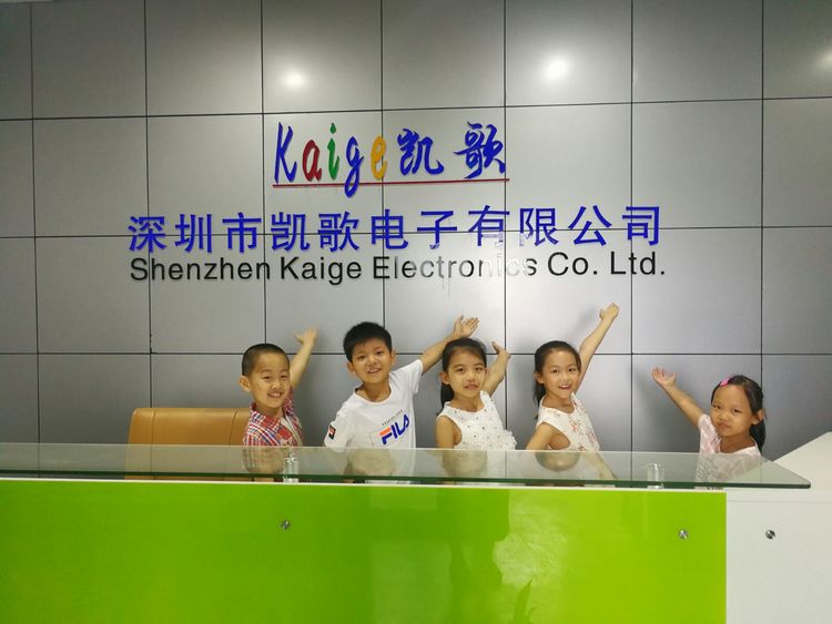 公明中英文学校国际部二E班职业体验