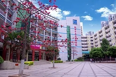 课件：物质的鉴别【化学】