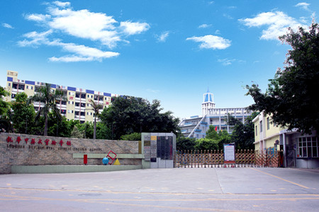 复习课件：图形的相似