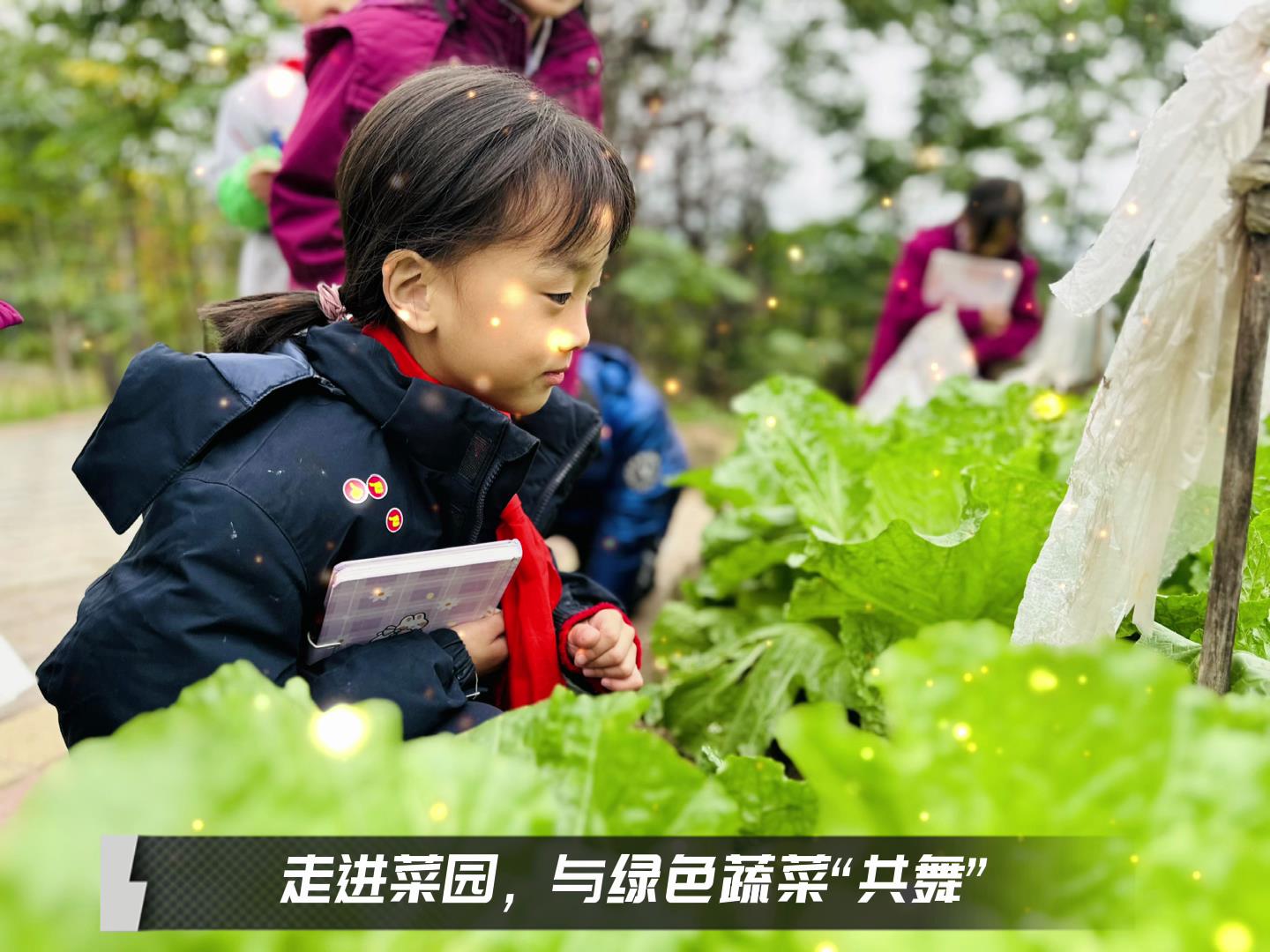 美好学校|留校时光，走出教室，与绿色蔬菜共舞